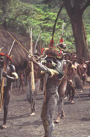 indigenous papua